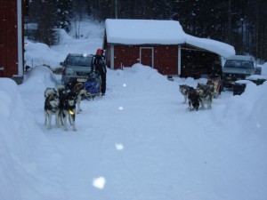 Norway 2011 (28)